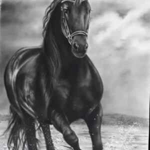 تابلو سیاه قلم